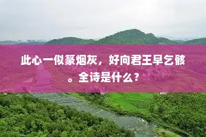 曹柯返地知何术，楚客忘弓且莫愁。出自哪首诗？