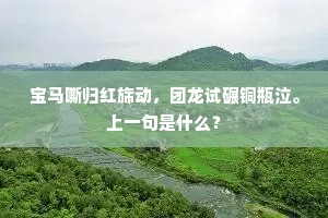 故人一恸君知否，天末荒江野祭辰。下一句是什么？