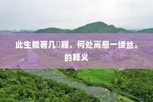 宣房沛泽未全消，蒿目流民叹不毛。的意思及出处