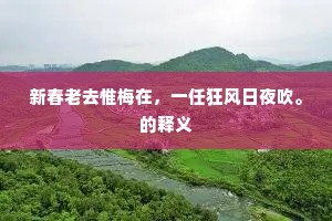 废兴枨触恨千古，聚散魂消书十翻。的释义