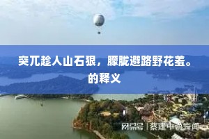 桂枝片玉成语的释义