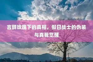 言辞玫瑰下的真相，假日战士的伪装与真我觉醒