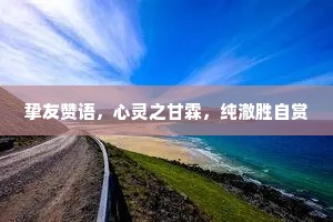 挚友赞语，心灵之甘霖，纯澈胜自赏