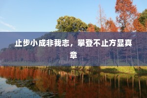 止步小成非我志，攀登不止方显真章