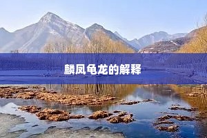 麟凤龟龙的解释