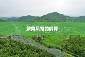 麟角凤觜的解释