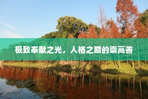 极致奉献之光，人格之巅的崇高善