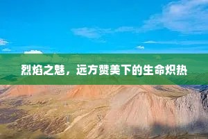 烈焰之魅，远方赞美下的生命炽热