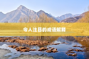 令人注目的成语解释