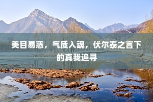 美目易惑，气质入魂，伏尔泰之言下的真我追寻
