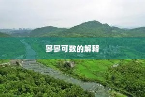 寥寥可数的解释