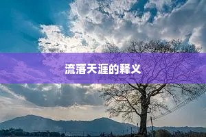 流落天涯的释义