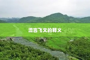 流言飞文的释义