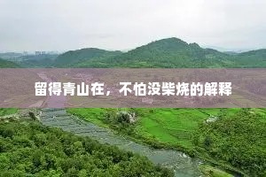 留得青山在，不怕没柴烧的解释