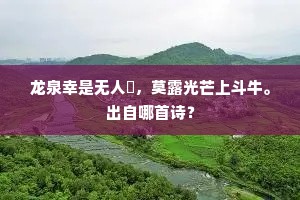 平头奴子忽趋告，故抚银铛被逮行。的意思及出处