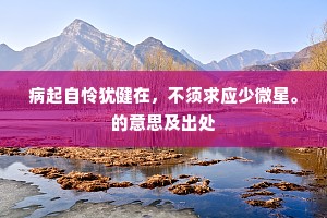 方信石翁真世嫡，肯将葱岭玷宗风。上一句是什么？
