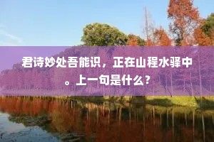 梅花岭下故人散，寒食年年浇麦饭。下一句是什么？