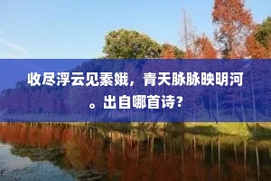 死生异迹宁异心，谁采旧闻禆史阙。下一句是什么？
