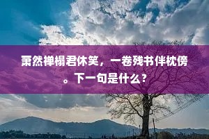 平贼将军贼未平，拥兵坐杀杨武陵。上一句是什么？