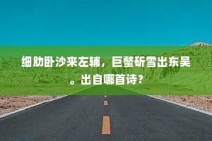 死生异迹宁异心，谁采旧闻禆史阙。下一句是什么？