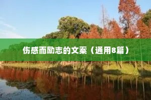 情感语录暖心治愈人生（精选8篇）