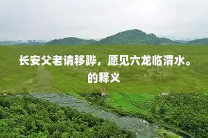 小周后正号咷甚，又报王姬入大辽。的解释