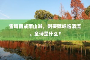 此行无足供清娱，喜购梁鸿殉葬书。下一句是什么？