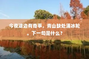 老去精思审六书，直探皇极锐何如。的意思及出处