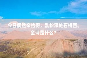 何物老妪如达生，可儿可儿此宁馨。的意思及出处