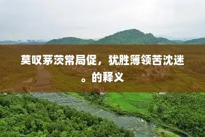 惭愧斯人长寂莫，不华不实度虚生。的释义