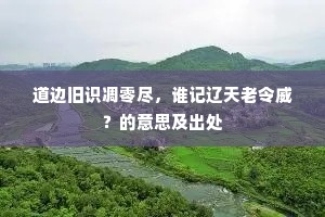 长笺亦聊贡一得，谓以寸莛叩巨钟。出自哪首诗？