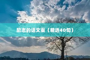 情感治愈励志语录书籍大全集（通用40句）