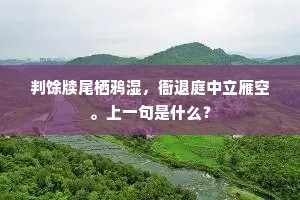 道君皇帝摹捣练，力为张护开生面。的意思及出处