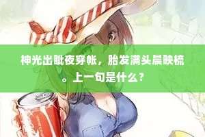 明昌御宝何皇皇，瘦金题字犹完善。的释义