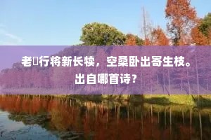 江南国主乏远虑，梯冲鼓角任所奔。的意思及出处
