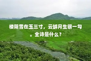 有客到门还兴尽，屏营斜日下山时。出自哪首诗？