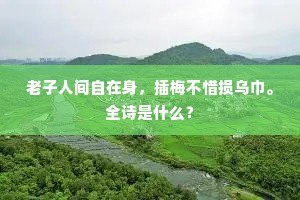 天子一朝忘顾命，孤臣万里殉炎荒。下一句是什么？
