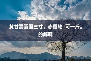 主人夙起䦱户出，醨耶糟耶两忘情。的释义