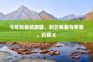 虎背熊腰成语的解释