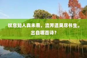 何来梧竹清风别，碧沚深居十二郎。的意思及出处