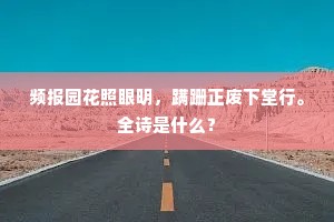 虎珀拾芥成语的拼音