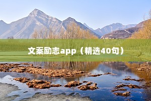 治愈清醒经典情感共鸣语录（通用40句）