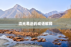 流光易逝的成语解释