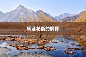 柳巷花街的解释