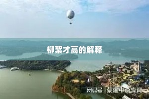 柳絮才高的解释