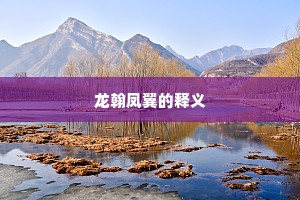 龙翰凤翼的释义