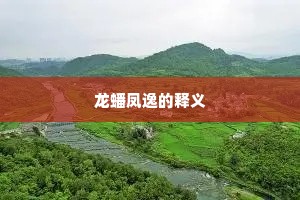 龙蟠凤逸的释义