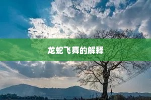 龙蛇飞舞的解释