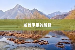 龙首豕足的解释