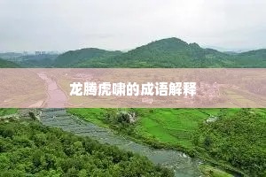 龙腾虎啸的成语解释